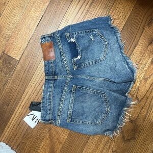 Brand New College Shorts